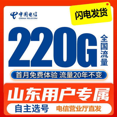 山东电信流量卡济南济南烟台青岛淄博手机卡电话卡大王卡上网卡5g