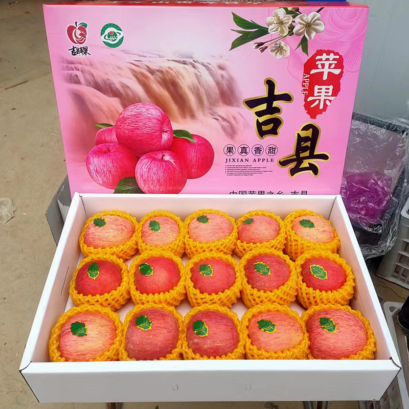 吉县红富士苹果脆甜新鲜苹果水果特一级精品礼盒装送人员工福利