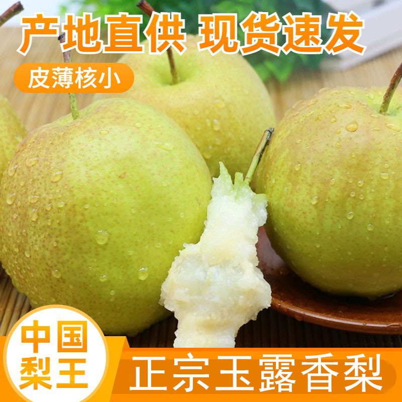 山西隰县玉露脆甜多汁细嫩无渣