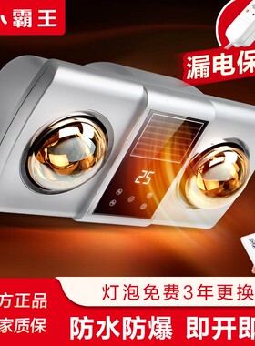 小霸王浴霸壁挂式风暖灯暖防水挂