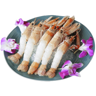 原装进口超低温刺身海鳌虾1kg 南极深海鳌虾斯干比虾新西兰挪威