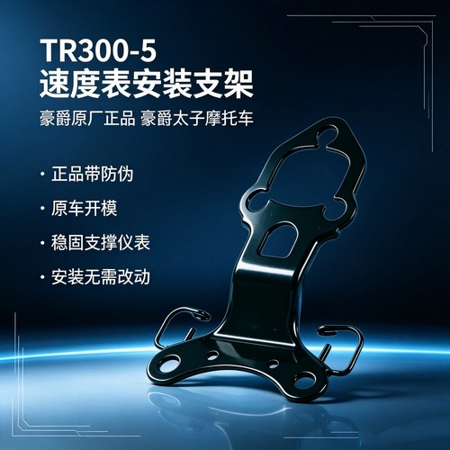 适用原装TR300plus前照灯支架HJ300-5仪表支架挡泥板支架油箱支架