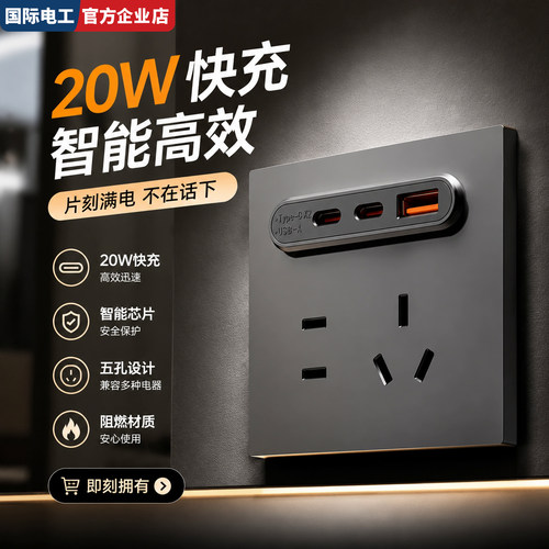 国际电工86型USB快充插座
