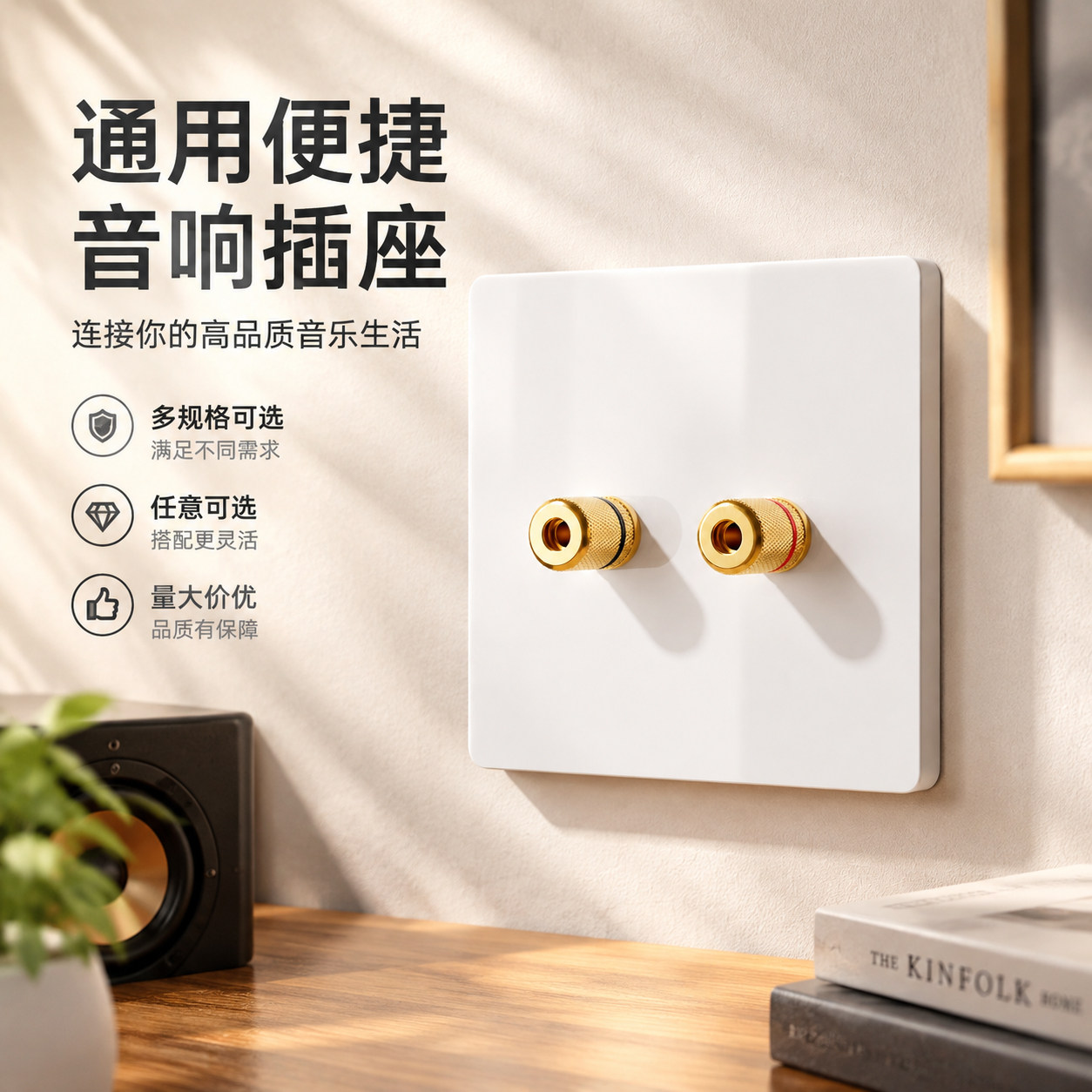 现代简约音响插座面板墙壁暗装香蕉插头接线柱家用功放音箱连接盒