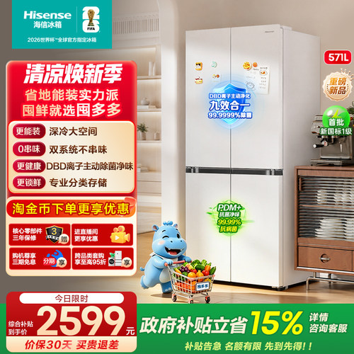 海信囤多多571双系统大容量冰箱