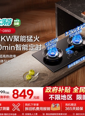 海信大薄荷系列双炉灶具台嵌两用嵌入式大猛火以旧换新DB50天燃气