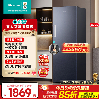 海信大薄荷290L冰柜立式家用冷柜
