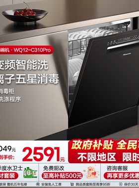 海信零菌洗碗机小型家用全自动嵌入消毒水槽独立一体12套C310Pro
