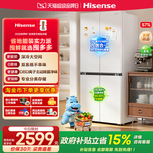 海信囤多多571双系统大容量冰箱