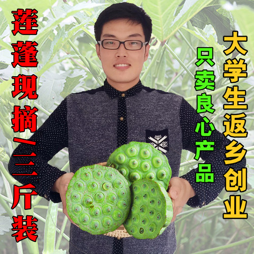 顺丰现货嫩莲蓬生吃新鲜