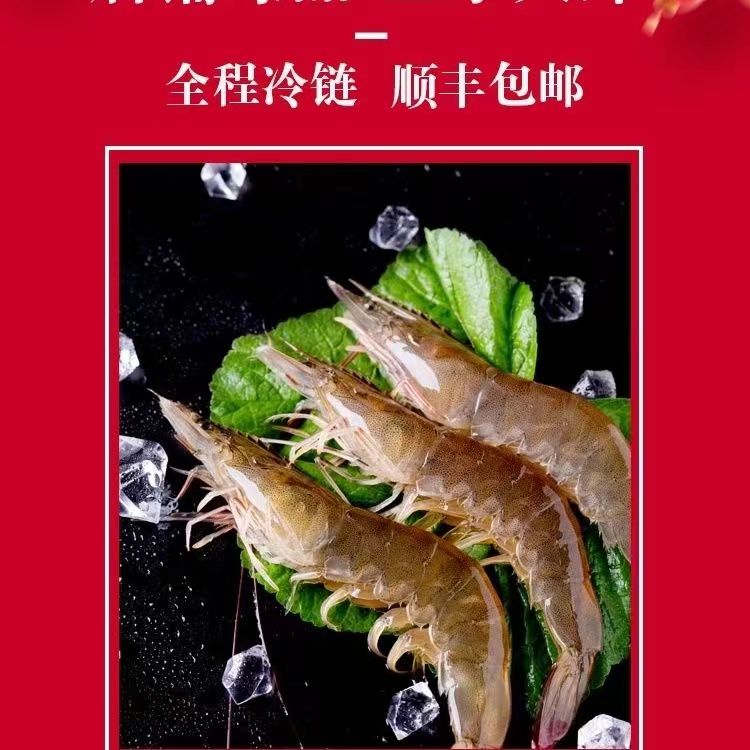 新疆盐碱地大虾无污染无辐射纯净安全30/40大虾