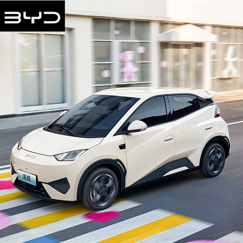 比亚迪海鸥5人家用远程APP智驾