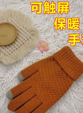 冬季手套保暖防寒手套男女士加厚可爱学生写字玩手机加厚触屏手套