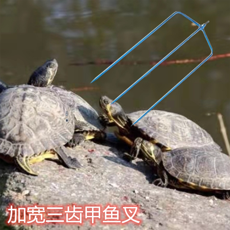 加宽三齿甲鱼叉不锈钢杆甲鱼排叉探甲鱼叉套装捕甲鱼手工