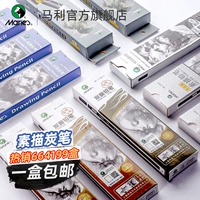 Мали -флагманский магазин набросок карандашного угля