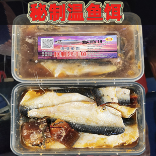 秘制沙丁鱼饵500克温鱼姑鱼条钓饵黑鲷饵料鱼肥海钓鱼饵万能钓饵
