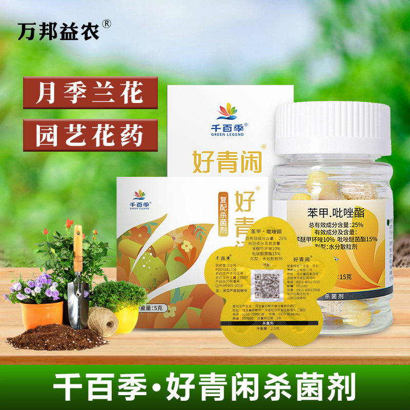千百季好青闲苯甲吡唑脂胶囊观赏月季兰花药白粉病黑斑病杀菌剂