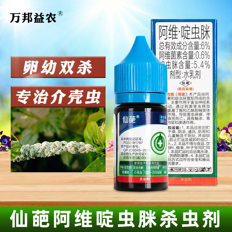 仙葩多肉小黑飞红蜘蛛农药啶虫脒