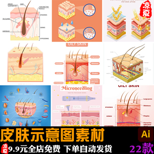 手绘皮肤结构分层解剖横截面肤质护肤示意图插画ai矢量设计素材