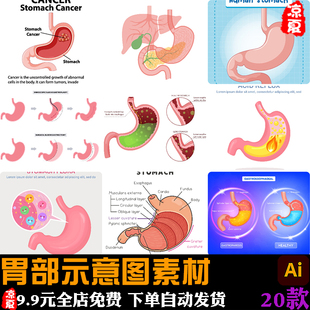 卡通胃部消化系统医学示意图说明图人体器官插画ai矢量设计素材