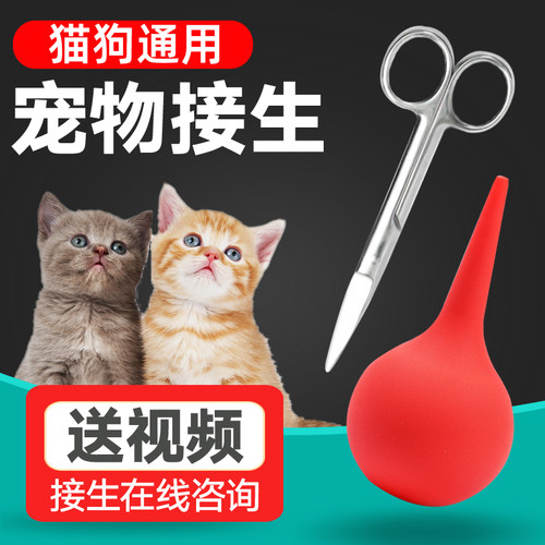 宠物猫狗接生工具吸羊水器脐带剪