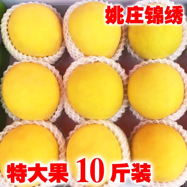ÌØ¼¶´ó¹ûҦׯ½õÐ廯ÌÒÐÂÏÊË®¹ûÏÖÕªÏÖ·¢10½ïˬÌðÓ¦¼¾¼ÎÉÆÌØ²úÌÒ×Ó