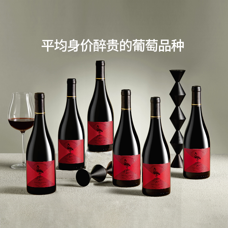 醉鹅娘 智利进口红鸟黑皮诺干红葡萄酒750ml*6整箱装红酒新年礼物