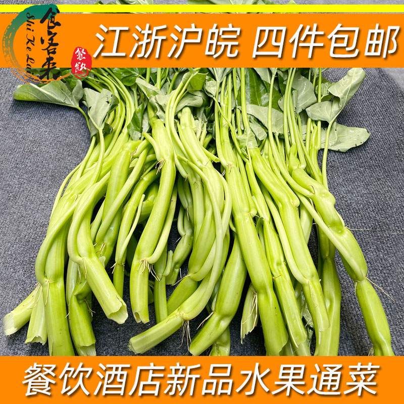 水果通菜新鲜大梗空心菜餐饮特菜