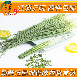 新鲜法葱欧洲小葱虾夷葱西餐香料装饰餐饮细香葱Chives上海发货