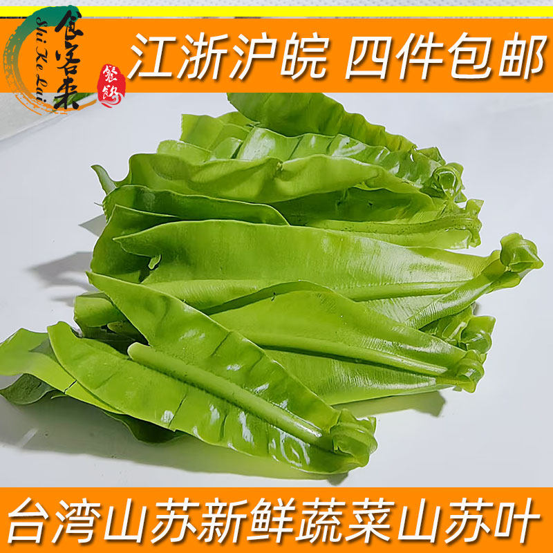 新鲜台湾食用山苏菜酒店特色菜