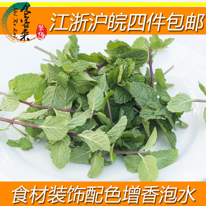 新鲜薄荷叶Mint leaves 500g 可食用卜荷留兰香莫吉托调酒 烘焙