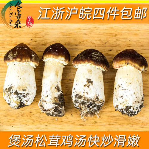 新鲜姬松茸煲鸡汤快炒