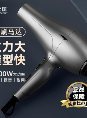 火之凤吹风机6600H发廊专用理发