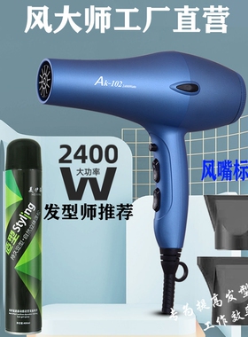 风大师102吹风机超静音发型师专