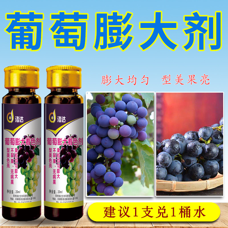 葡萄膨大着色剂拉长增甜膨大素夏黑茉莉香巨峰红提子专用叶面肥料