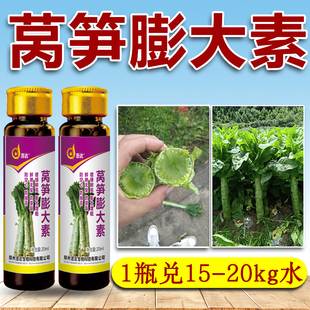 莴笋膨大素莴苣青笋莴菜防裂防空专用药鲜嫩拉长拉直增产剂叶面肥