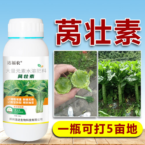 莴壮素莴苣莴笋青笋红笋苔菜贡菜专用膨大素拉长增产剂叶面肥