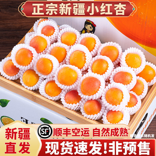 现货·顺丰空运·新疆小红杏5斤