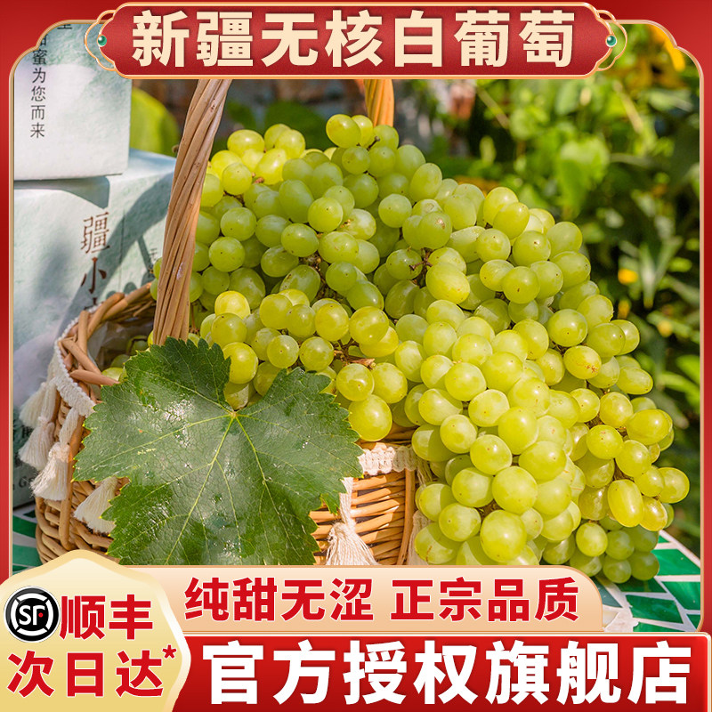 正宗新疆无核白葡萄清甜多汁