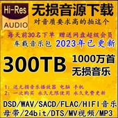 5.1声道车载mv视频mp3下载 dts DSD无损音源HIFI音乐包wav flac