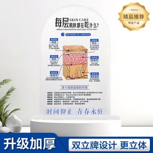 美妆店摆件皮肤层级吃什么台牌护肤知识分层抗衰肌肤结构展示牌