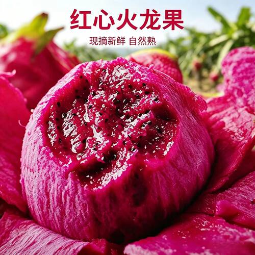广西金都一号红心火龙果自然成熟