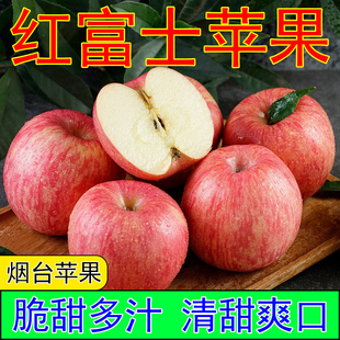 新鲜苹果水果山东烟台红富士当季脆甜多汁现摘采果香浓郁清甜爽口