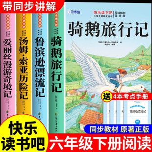 快乐读书吧六下阅读书籍鲁滨逊漂流记汤姆索亚历险记名著书目 尼尔斯骑鹅旅行记原著完整版 骑鹅旅行记六年级下册必读正版 课外书