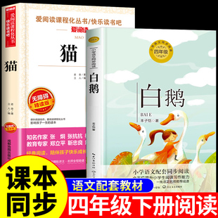 全套2册 白鹅丰子恺和猫老舍 四年级下册阅读课外书必读正版的书籍经典语文书目推荐小学生丰子恺读本散文精选散文集四下老师