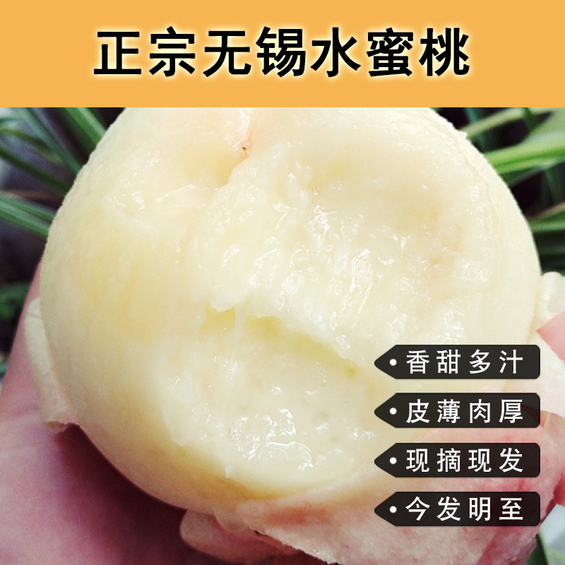 正宗无锡水蜜桃子阳山镇产礼盒新鲜多汁水果孕妇食用顺丰邮78两大