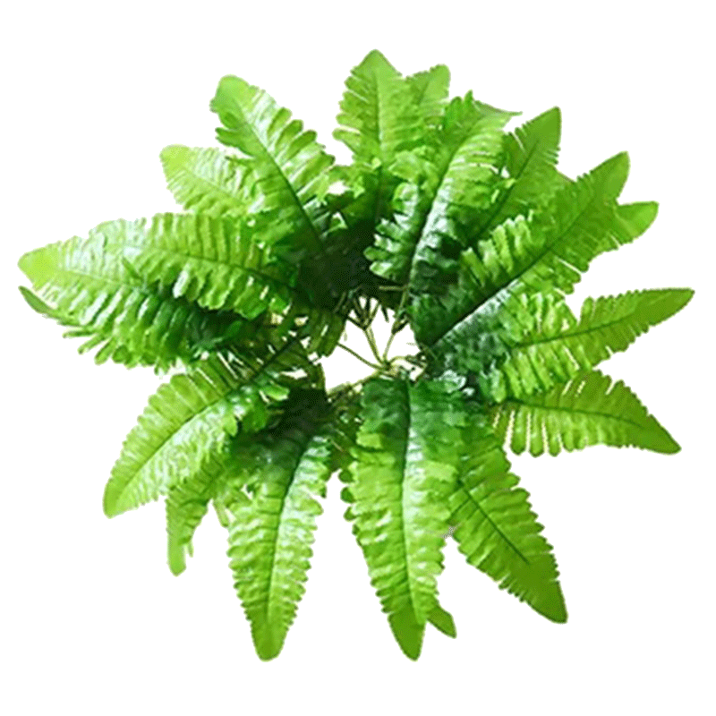仿真绿植墙背景墙配花室内植物装仿真绿植