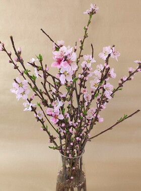 新鲜桃枝水培开花镇宅家用客厅办公室插花瓶寓意美好绿植泡水干枝