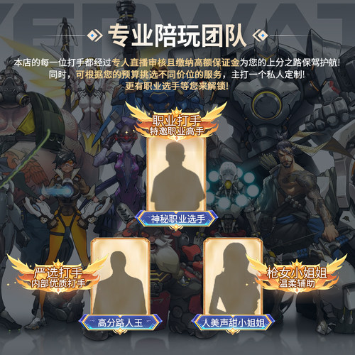 OW2守望先锋国服国际服陪玩大神甜妹上分教学娱乐排位