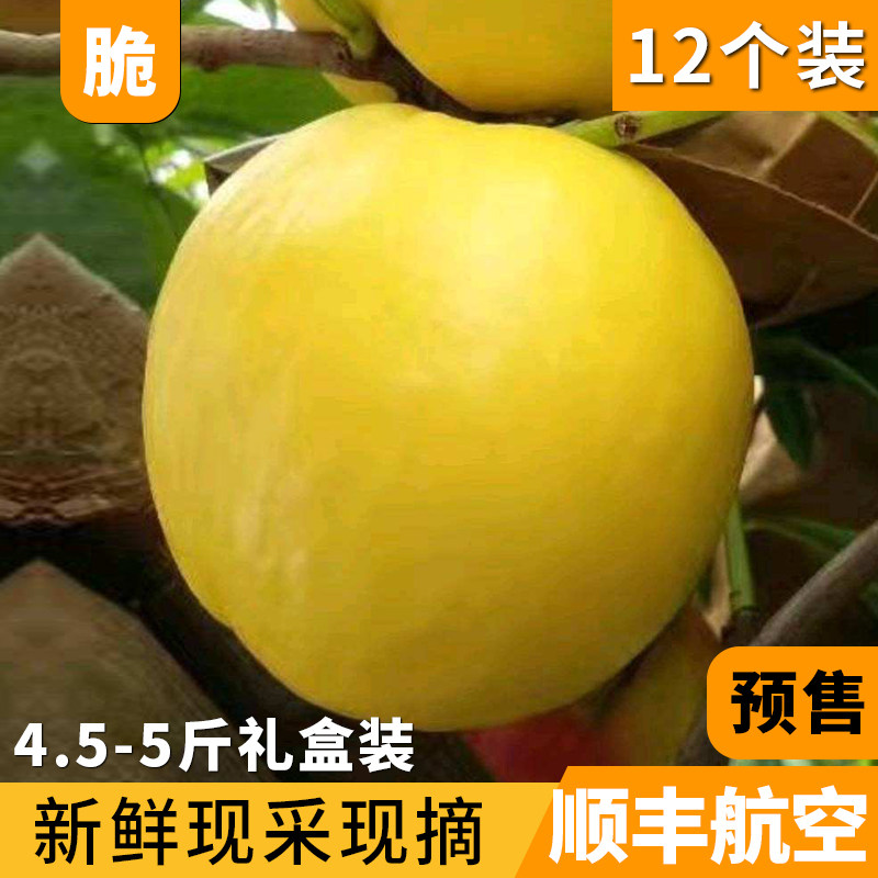 平谷大桃黄金油桃黄心黄肉油桃应季黄桃蜜桃新鲜水果5斤现摘脆甜|ruв категории водной мясо/свежие фрукты и овощи/еда, свежие фрукты, персик - от Buy2taobao.com для оказания профессиональной услуги покупки агента Taobao